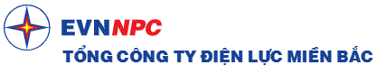 Northern Power Corporation
