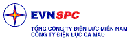 Ca Mau Power Company